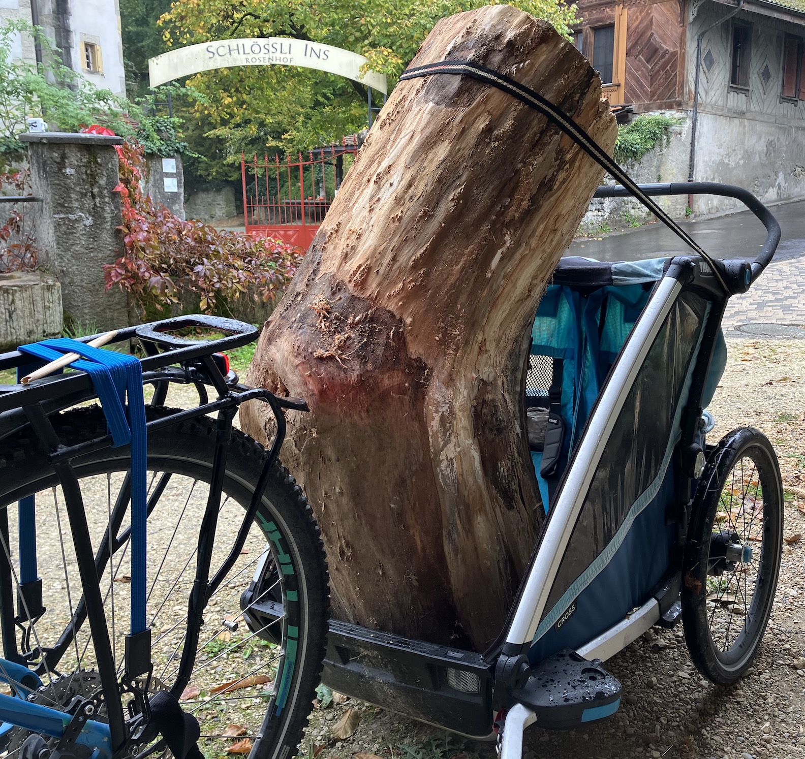 Was würde passieren wenn man seine Möbel dem Baum anpassen würde statt die Bäume dem  Möbel? VORHER...